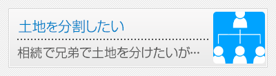 土地を分割したい